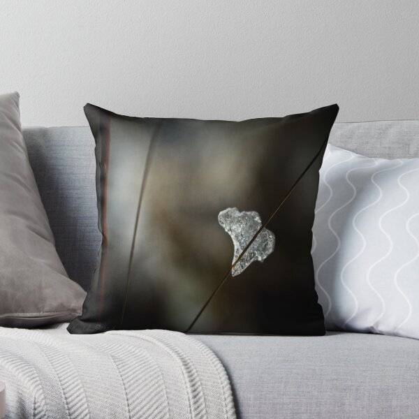 Ice of Africa Throw Pillow