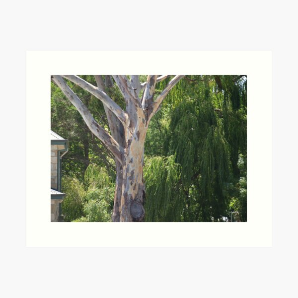 Item preview, ghost gum designed and sold by sharon Wingard.