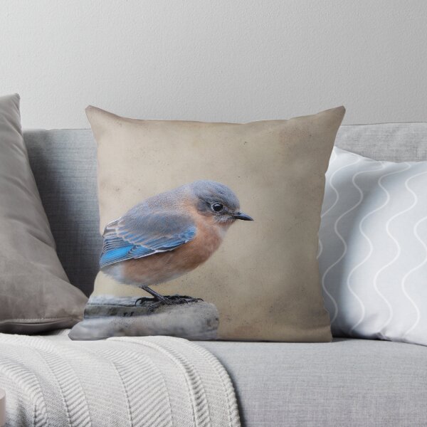 Blue store bird pillow