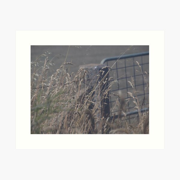 Item preview, wheat and fence designed and sold by dennis wingard.