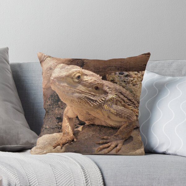 Item preview, Horny Toad designed and sold by SuddenJim.