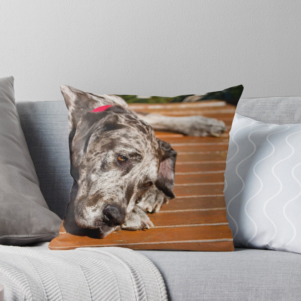 Item preview, Throw Pillow designed and sold by bbreen13.