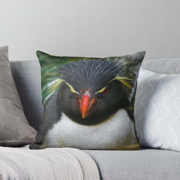 Artikelvorschau, Rock-Hopper Pinguin Falkland ist. entworfen und verkauft von Craig Baron.