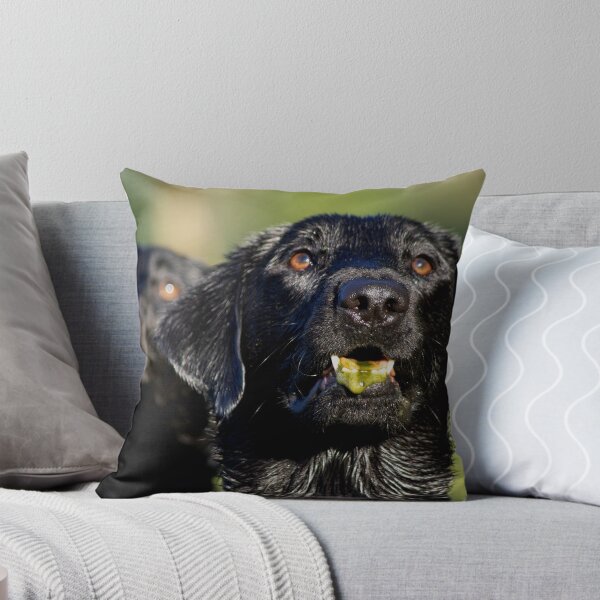 Item preview, Slurping Goose Poop at the Lake...Ack!!! designed and sold by SBawtinheimer.