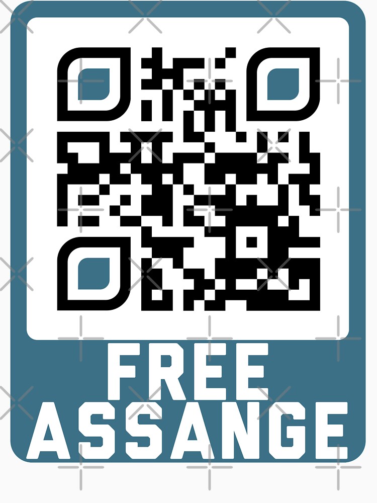 free assange shirt