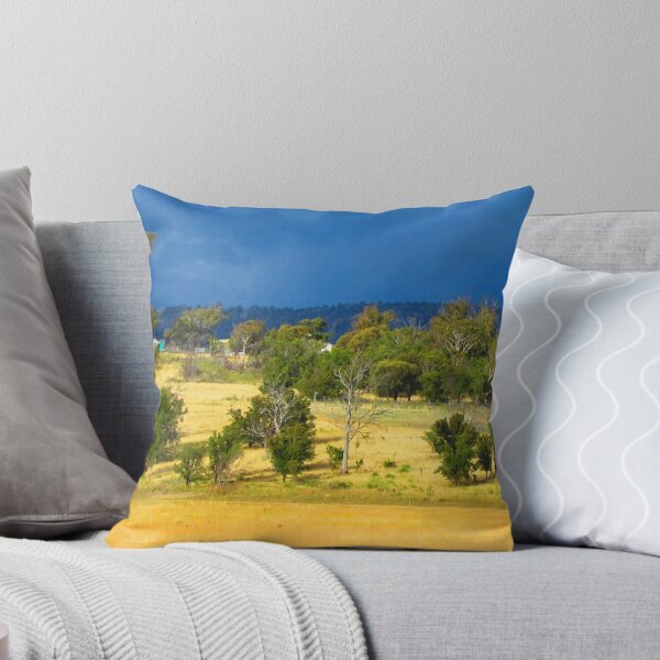 Item preview, Radio Telescope designed and sold by Paul Campbell  Photography.