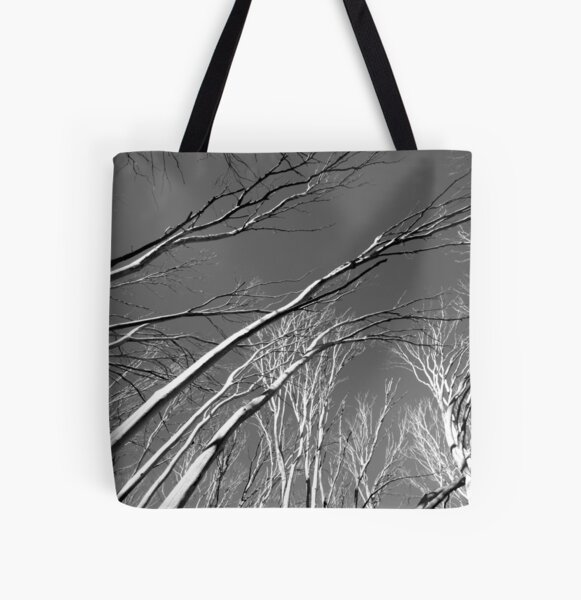 Item preview.