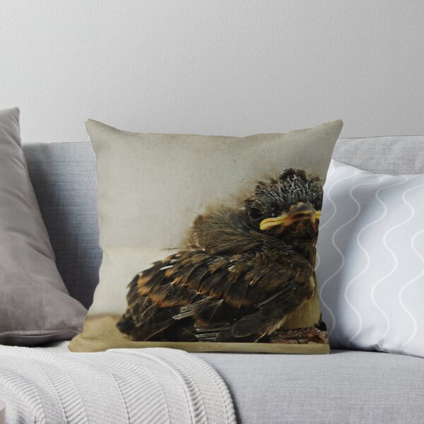 Item preview, Preparing for flight designed and sold by Brooke Martin Photography.