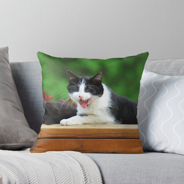 Item preview, Sleepy Cats designed and sold by KevinsView.