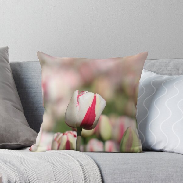 Item preview, White and pink colored tulips designed and sold by snehit.