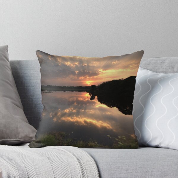 Item preview, Sunset at Ranthambore Park designed and sold by ccullen222.
