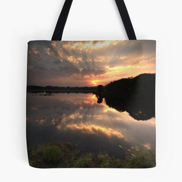 Item preview, Sunset at Ranthambore Park designed and sold by ccullen222.