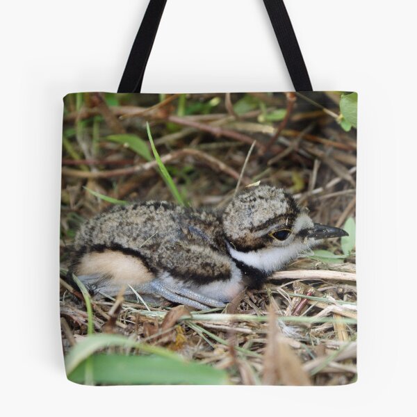 Item preview, Baby Killdeer designed and sold by genez.