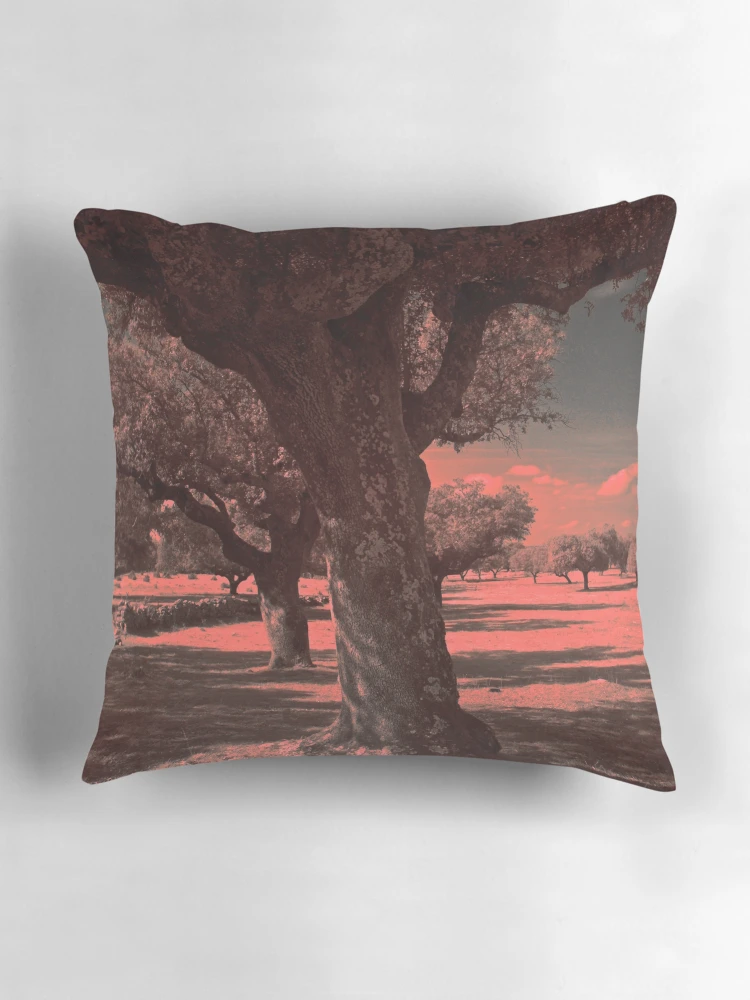 Aperçu 3 sur 4. Coussin avec l'œuvre Countryside on I.R. créée et vendue par Rafael López.