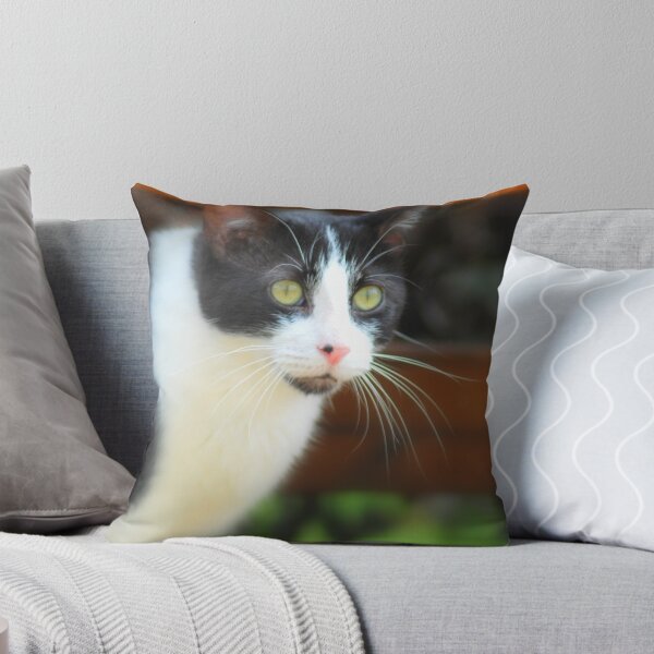 Item preview, Soft Focused Cat designed and sold by KevinsView.