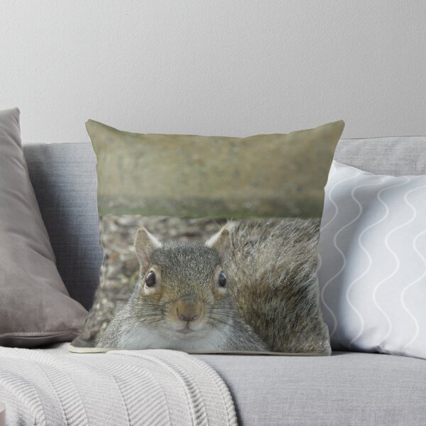 Item preview, These are not the nuts you are looking for. designed and sold by EventHorizon.