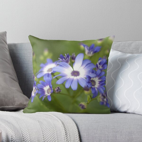 Signeria Throw Pillow