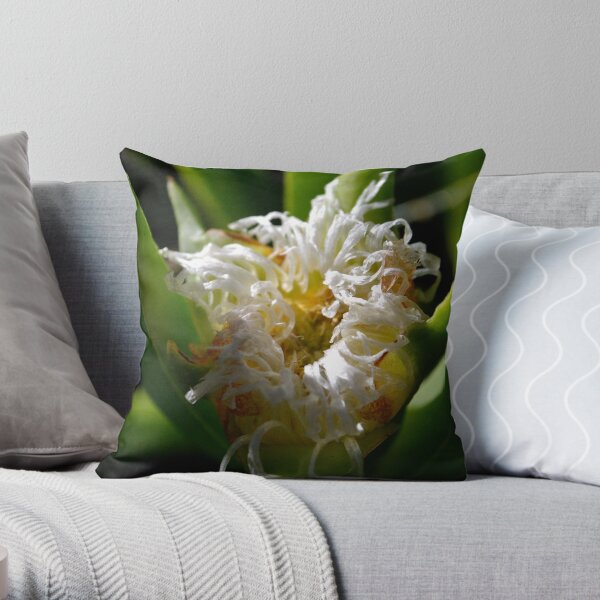 Study of Flowers III Throw Pillow