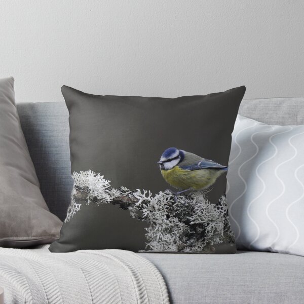 Item preview, blue tit on pearch designed and sold by stephen  barber.