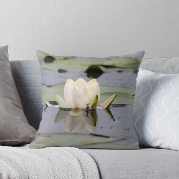 Aperçu de l'œuvre Water Lilly Reflection créée et vendue par Tim Collier.