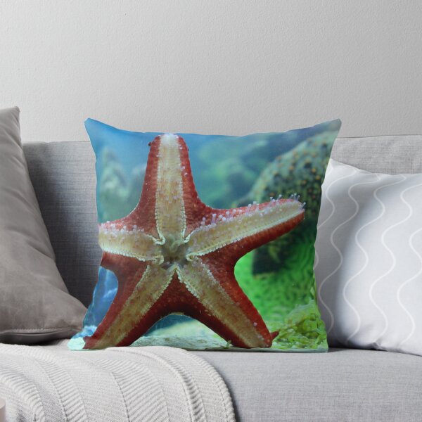 Aperçu de l'œuvre Starfish details créée et vendue par Indrani Ghose.