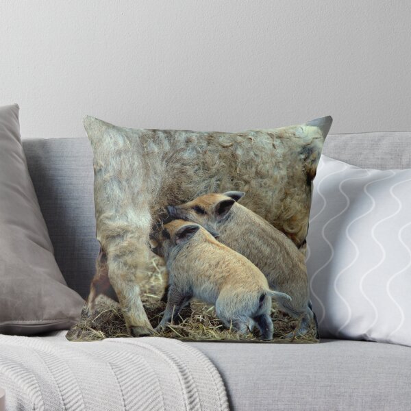 Item preview, Home, home on the range designed and sold by Alan Mattison.