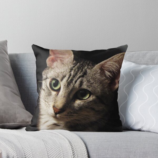 Item preview, 441x415 designed and sold by Diane Arndt.