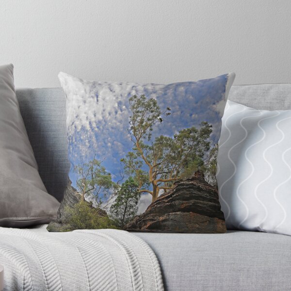 Dunn's Swamp - Kandos NSW Australia Throw Pillow