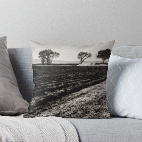 Item preview, While the sun shines designed and sold by Duncan Waldron.