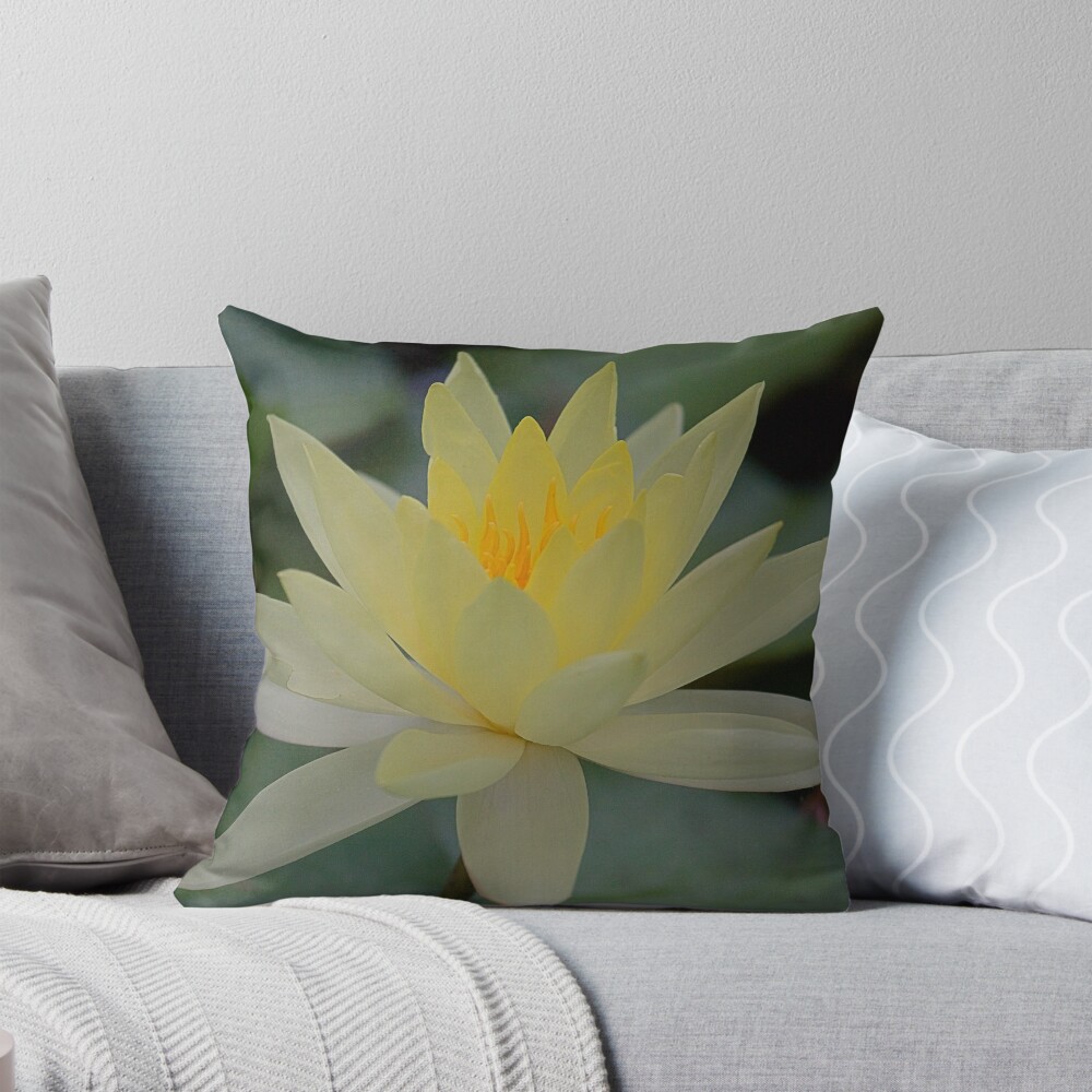 Item preview, Throw Pillow designed and sold by RICHARDW.