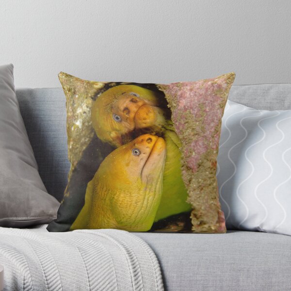 Green Moray Eels - Gymnothorax prasinus Throw Pillow