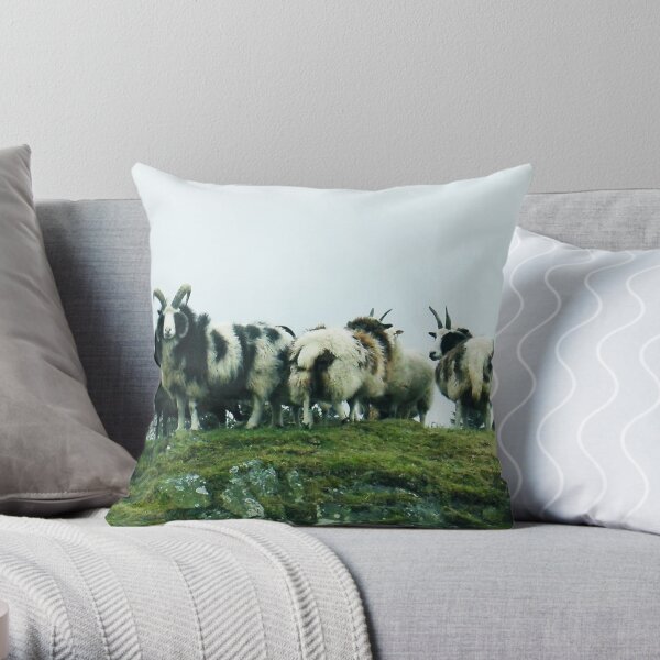 Jacob's Sheep Throw Pillow