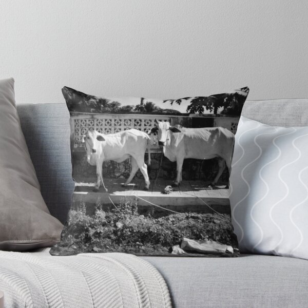 Item preview, cows, kep, cambodia designed and sold by tiro.