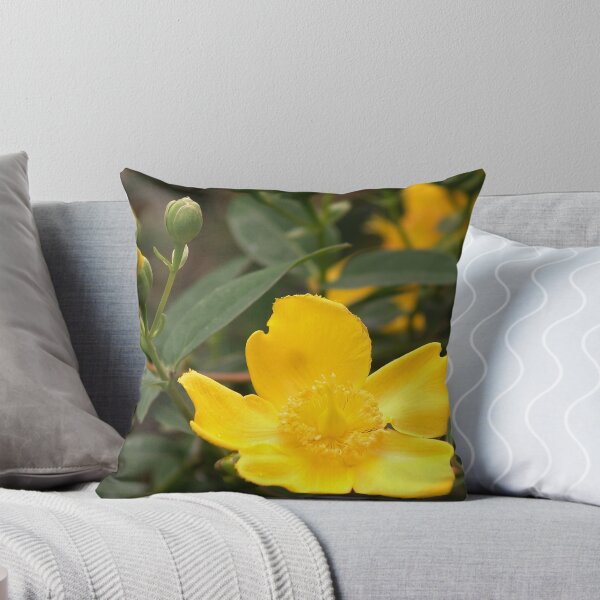 Item preview, Hypericum Calcynum designed and sold by WatscapePhoto.