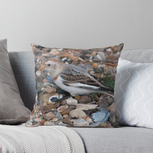 Item preview, snow bunting designed and sold by Grandalf.
