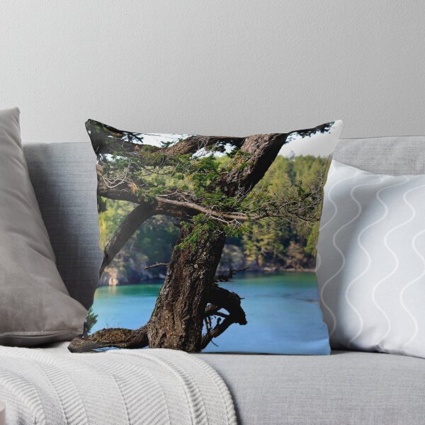 Item preview, Lottie Bay designed and sold by richchop.