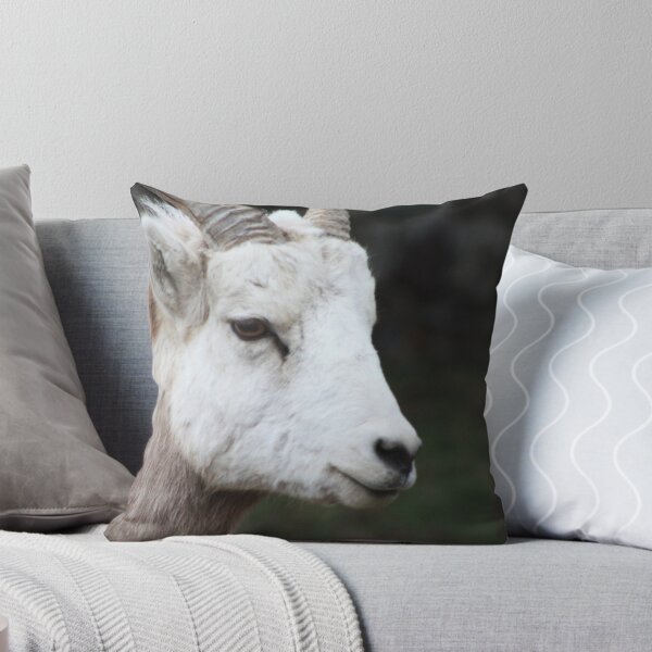 Item preview, Rocky Mountain Sheep designed and sold by Alyce Taylor.