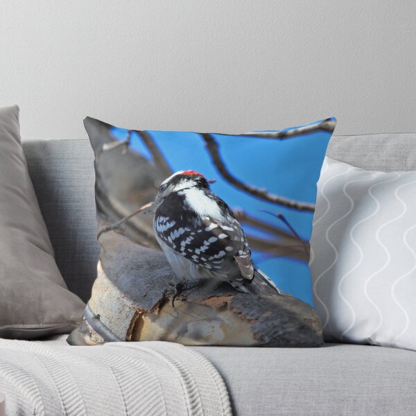 Item preview, Downy Woodpecker designed and sold by pmarella.