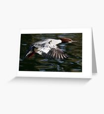 Flight Of The Goosander Greeting Card