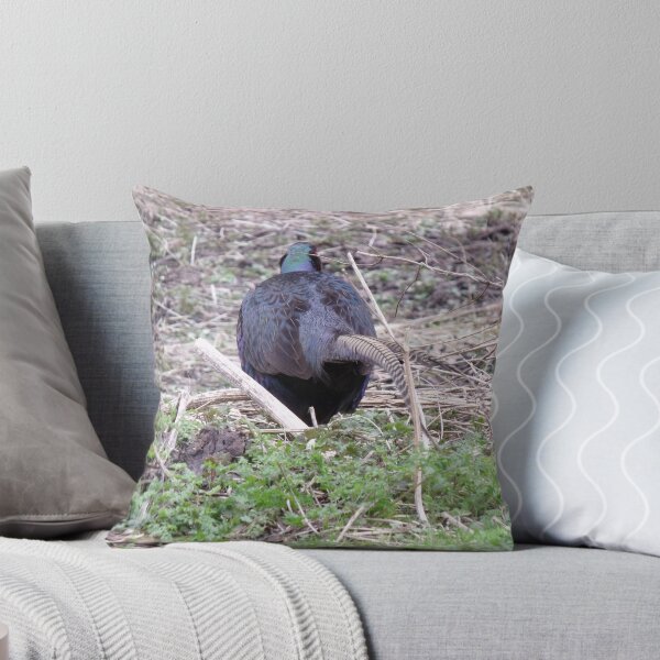 Item preview, Stop following me  designed and sold by alza.