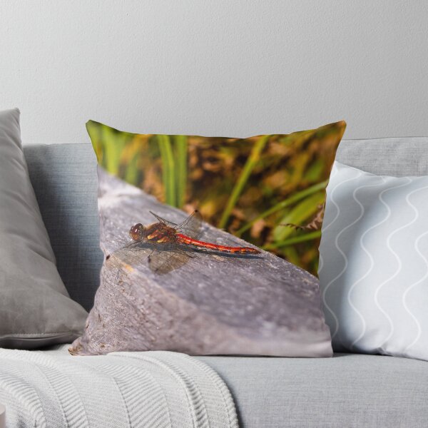 Item preview, Dragonfly, Common Darter, Sympetrum striolatum, male designed and sold by Hugh McKean.