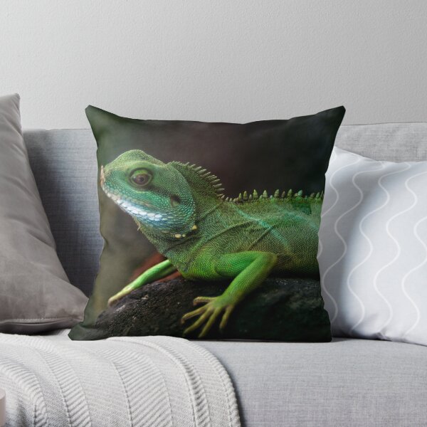 Little dragon 3 Throw Pillow