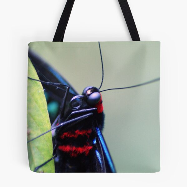 Item preview, Holding on for dear leaf designed and sold by Chris Cherry.