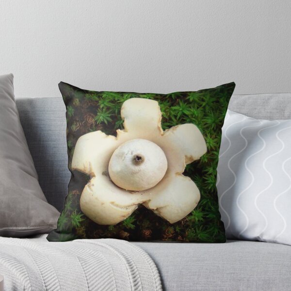 Item preview, Earthstar designed and sold by Path-Finder.