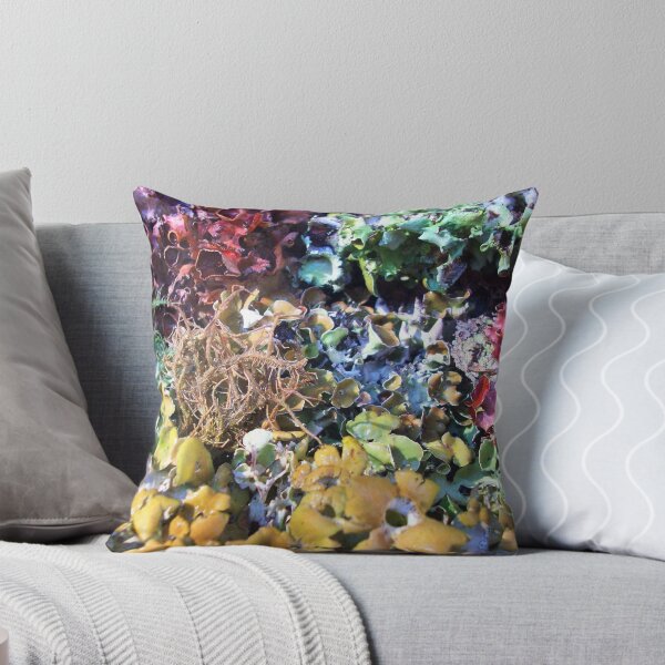 Item preview, Rainbow Menagerie designed and sold by Path-Finder.