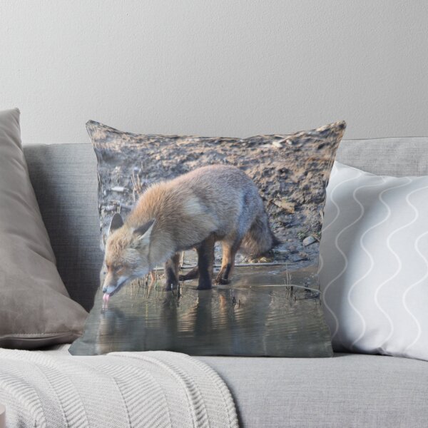 Item preview, Fox drinking water 2 designed and sold by DutchLumix.