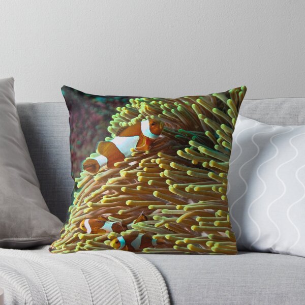 Item preview, Clown Fish designed and sold by KOKOPEDAL.