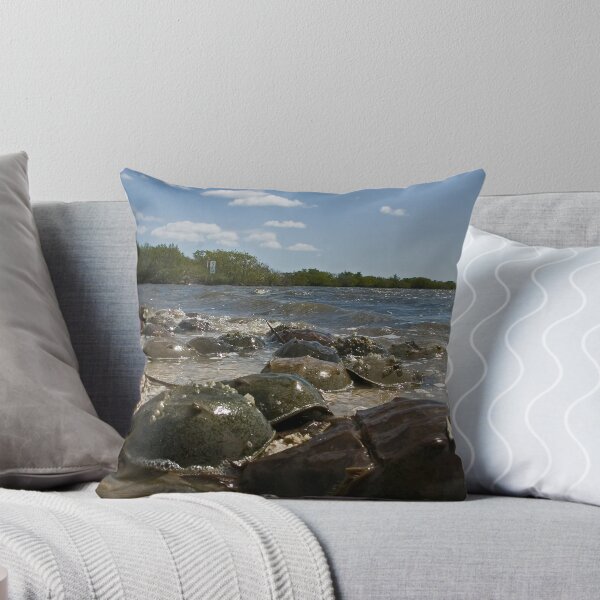 Item preview, Horseshoe crabs designed and sold by Larry  Grayam.