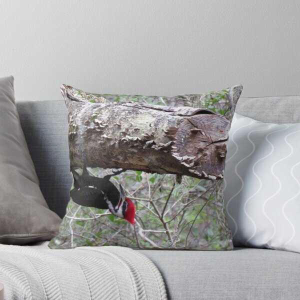 Item preview, So Many Bugs, So Little Time! designed and sold by Judy Wanamaker.
