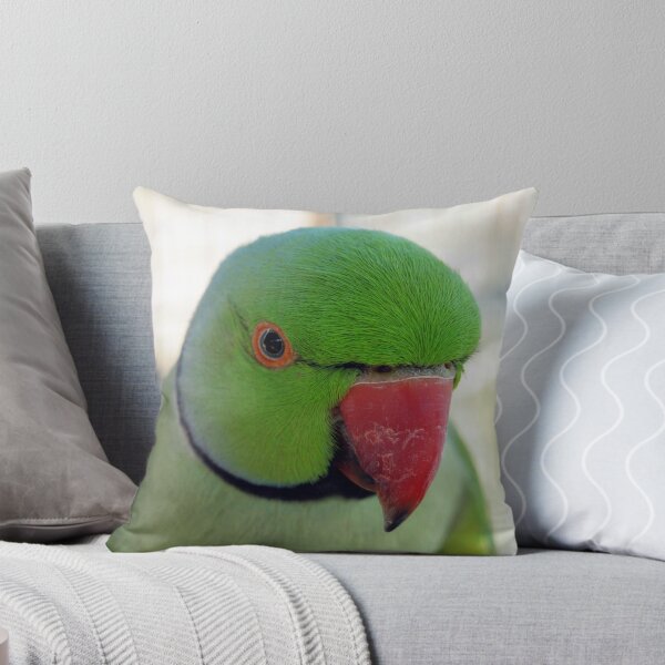 Item preview, INDIAN GREEN RING NECKED PARROT @WALK IN AVERY...ACT  designed and sold by briangardphoto.